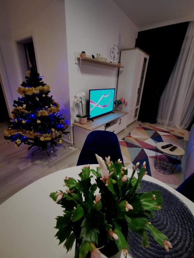 Karra Residence Timisoara - Autorizat Ministerul Turismului Kültér fotó